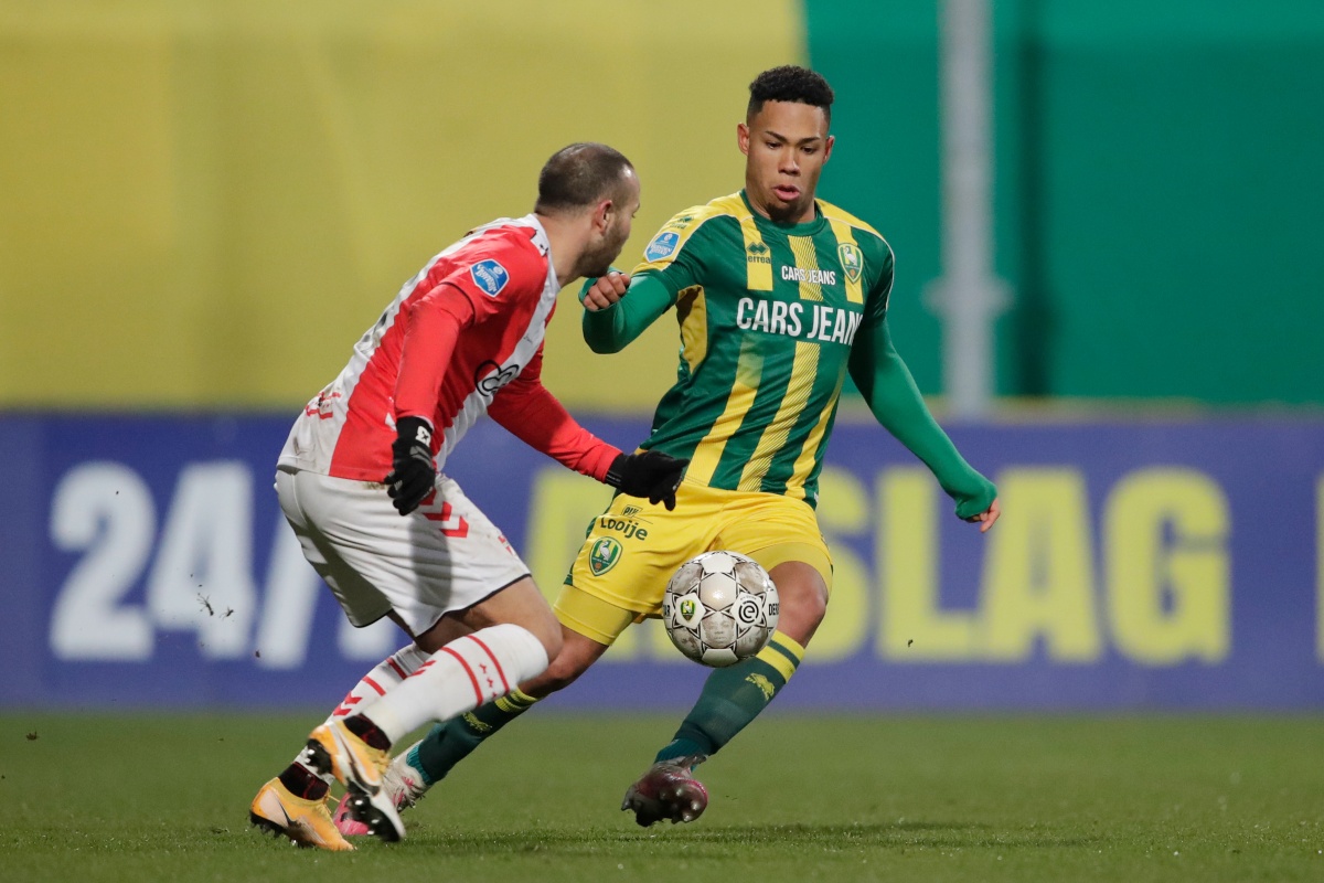 或南美的激 或南美的激