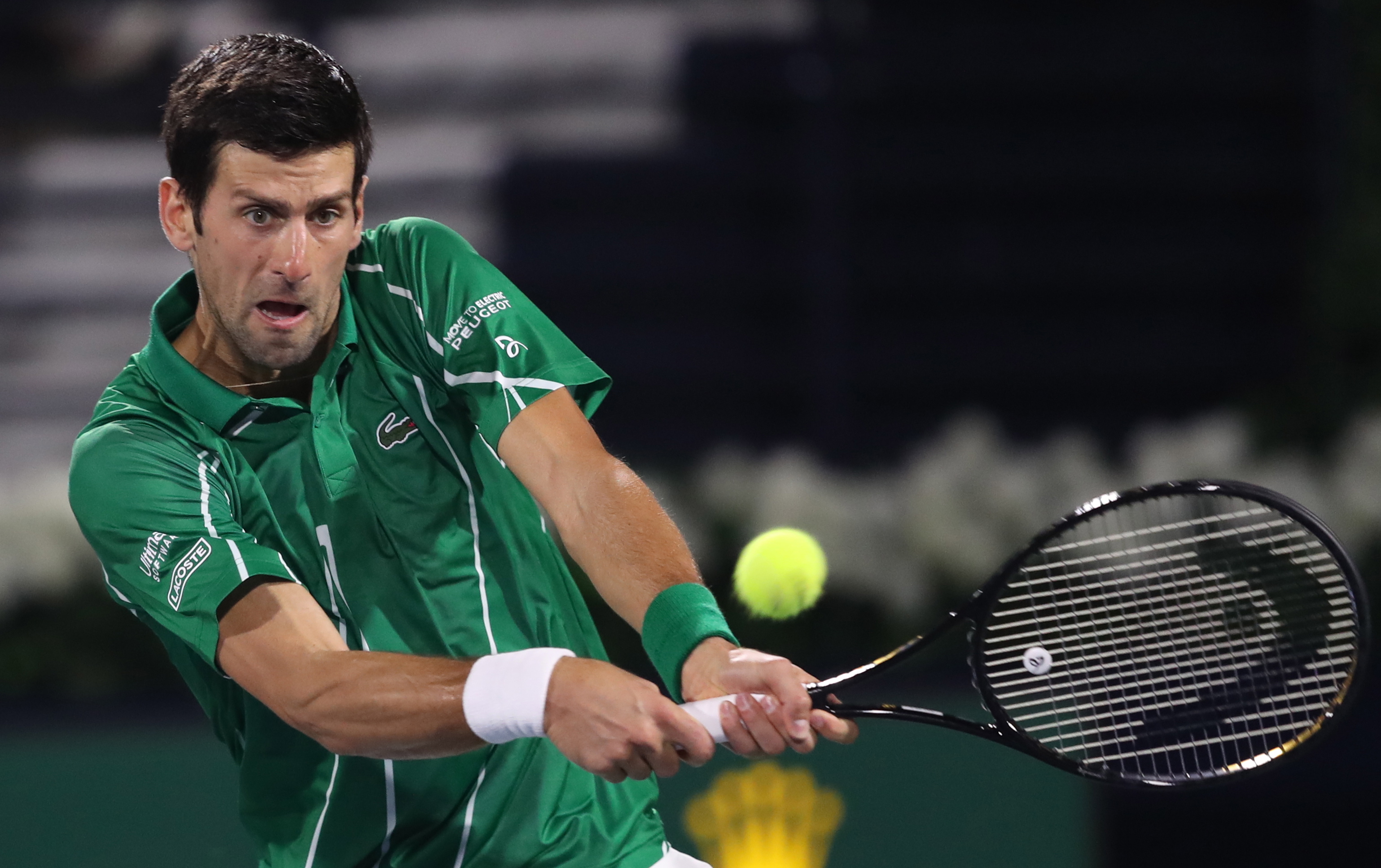 可以出任多 可以出任多